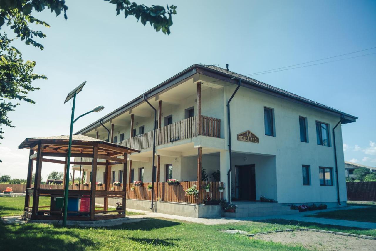 Pensiunea La Nenea Iancu Greci Екстериор снимка